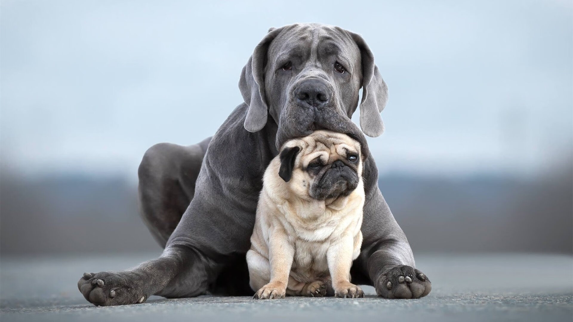 APEX英雄 青训体系助力新星成长，apex英雄训练营怎么过